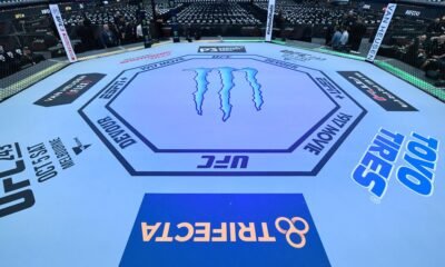 UFC going in on fin-dom?