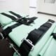 States Strive to Obscure Execution Diminutive print as Drugmakers Hinder Lethal Injection