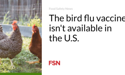 The bird flu vaccine isn’t available in the U.S.