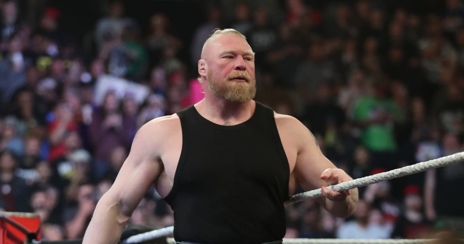 Shopping for or Selling Brock Lesnar, Roman Reigns Plans and Most neatly-liked WWE Rumors