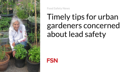 Timely pointers for urban gardeners fervent on lead security