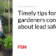 Timely pointers for urban gardeners fervent on lead security