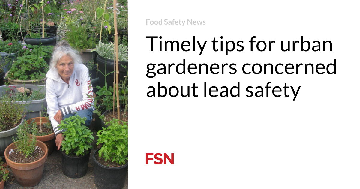 Timely pointers for urban gardeners fervent on lead security