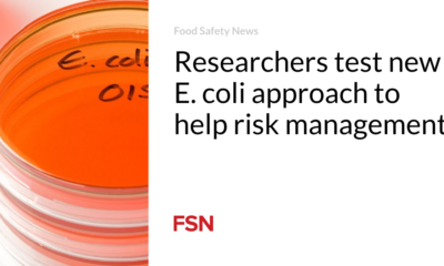Researchers test new E. coli design to back risk management