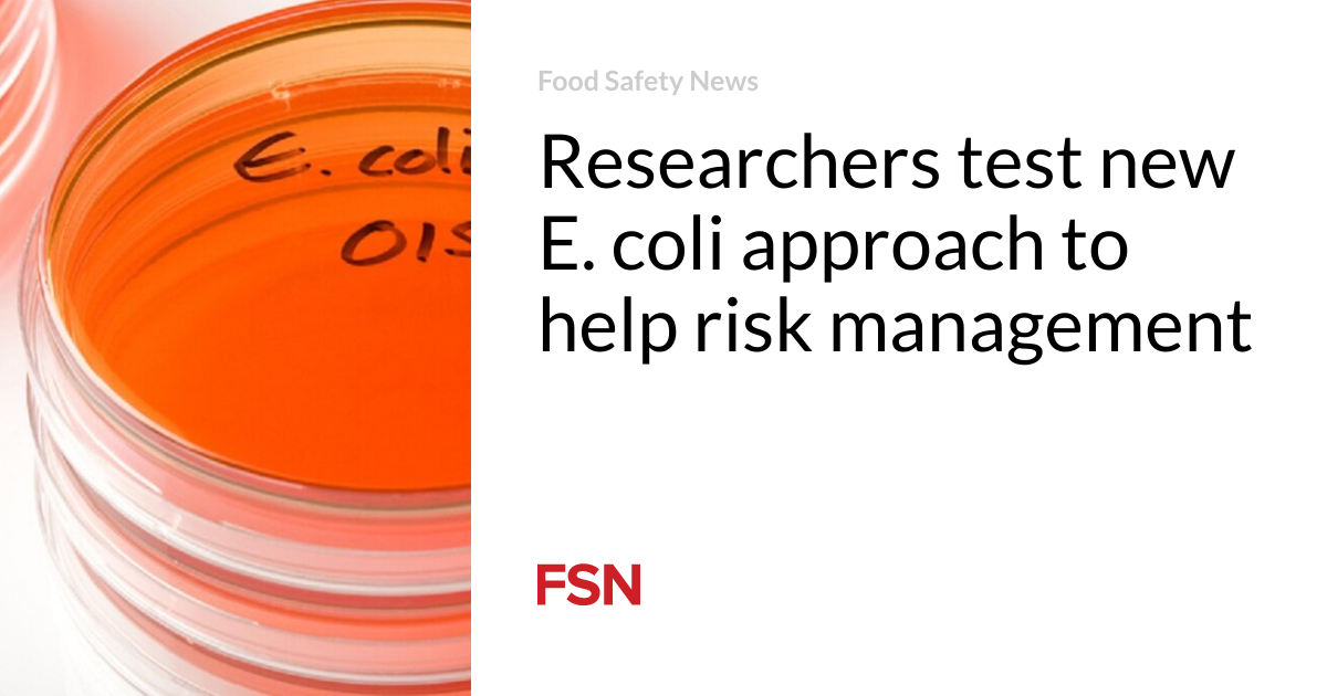Researchers test new E. coli design to back risk management