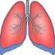 Lung most cancers outcomes vastly improved with immunotherapy-based mostly remedy given earlier than and after surgical operation