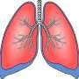 Lung most cancers outcomes vastly improved with immunotherapy-based mostly remedy given earlier than and after surgical operation
