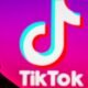 TikTok is banning all local climate commerce denial shriek material