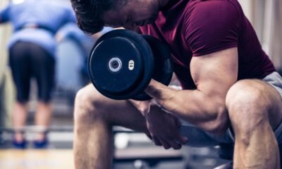 Produce Enormous Arms With These Exercises and Exercises