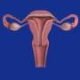 Remedy for uterine fibroids without surgical operation