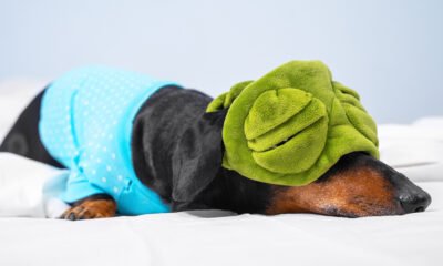 When Your Employee Tells You They’re Burned Out