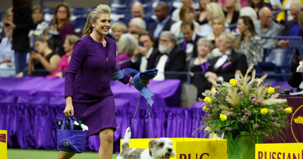 Westminster Dog Mark 2023 Results Handiest of Breed Winners and Final