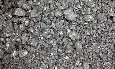 Silver Price Diagnosis: XAG/USD to connect $26 by year-quit – ANZ