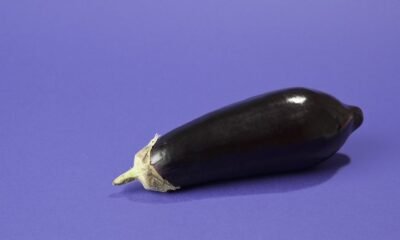 4 Methods to Invent Your Penis Seek Larger, Per a Urologist