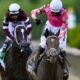 Preakness Stakes 2023 predictions, odds: Expert picks for fetch, space, present, exacta, trifecta, superfecta