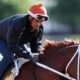 Preakness 2023 Lineup: Fleshy Rush Files for All Horses and Jockeys