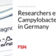 Researchers estimate Campylobacter prices in Germany