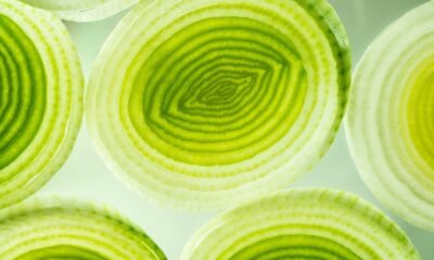 The style to Cook Leeks: Slicing, Preparation, and Storage Guidelines