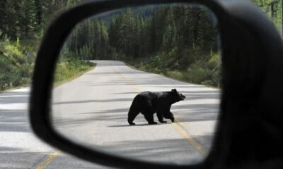 Market Additional: S&P 500 exits longest uncover market since 1948. What stock-market history says about what happens next.