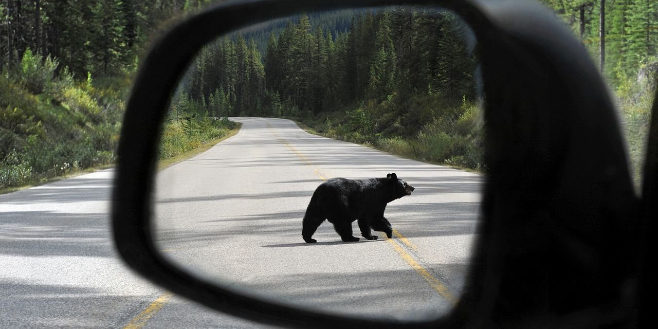 Market Additional: S&P 500 exits longest uncover market since 1948. What stock-market history says about what happens next.
