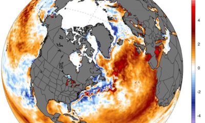 3 Observations Being concerned Climate Scientists Appropriate Now