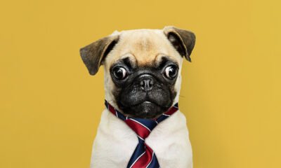 Are You Ready to Severely change a Supervisor?