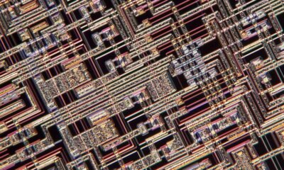 Why Chief Records and AI Officers Are Effect of dwelling As much as Fail