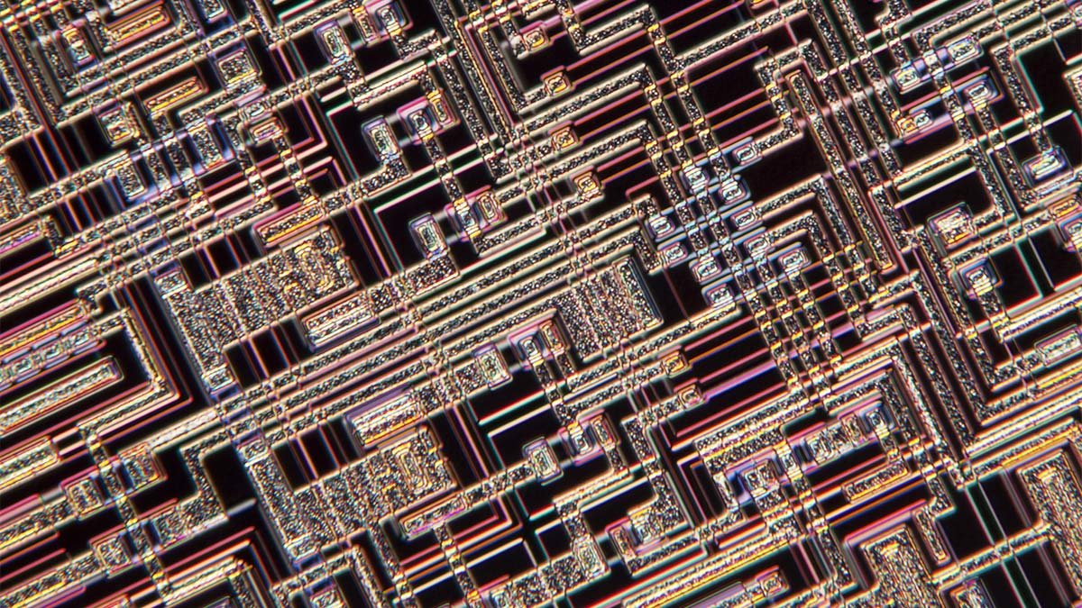 Why Chief Records and AI Officers Are Effect of dwelling As much as Fail