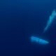 No, SpaceX is not very in point of fact accountable for the lacking submersible’s verbal change