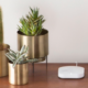 Rating an eero WiFi router up to 69% off ahead of Top Day