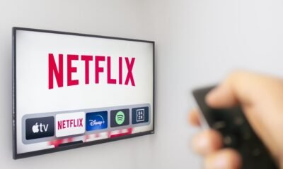 The 6 most Streamberry-ish parts of Netflix’s right user settlement