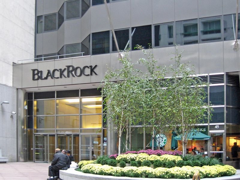 BlackRock Executive: Colorful Who Counterparties Are Is Key to Enticing Institutions in DeFi