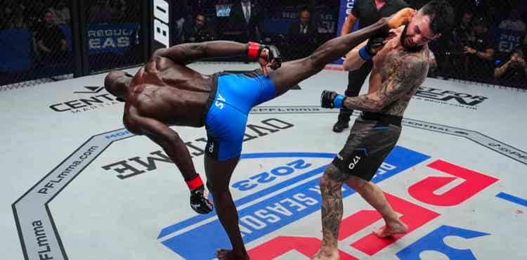 PFL 6 Highlights: Brutal KOs light the night!