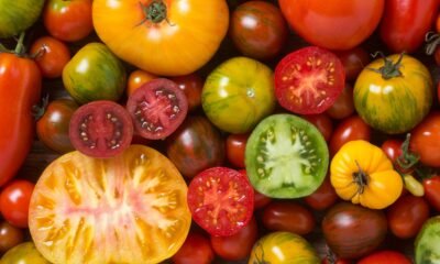 15 Luscious Heirloom Tomato Recipes That Are Ideal for Summer