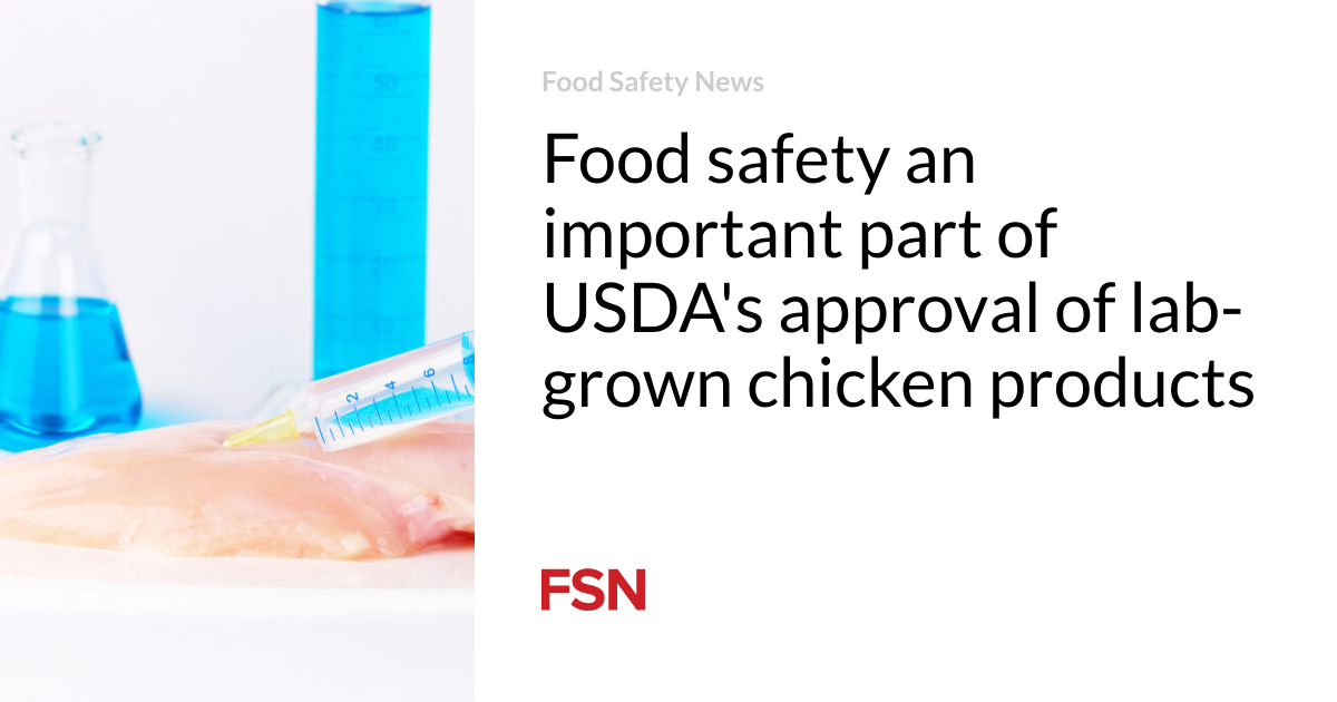 Meals safety the largest segment of USDA’s approval of lab-grown rooster products