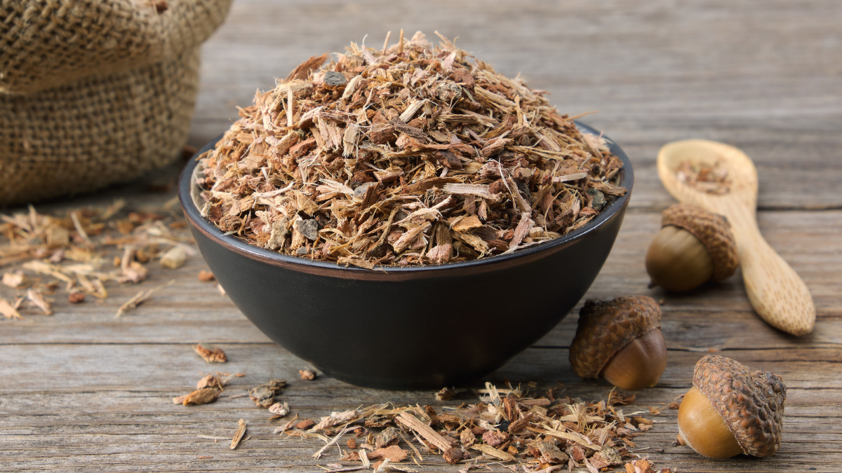 Oak bark, derived from the inner bark and round growths of white oak trees native to North America, has been used for its medicinal properties throughout history. This article highlights the importance of oak bark in healthcare and explores its various benefits and uses. One of the main uses of oak bark is in treating inflammatory conditions, such as bleeding gums and hemorrhoids. The bark contains tannins, which act as astringents and can help constrict body tissues, tighten pores, and soothe irritated areas of the skin. Oak bark has been traditionally used topically to treat skin irritation, wounds, irritated gums and teeth, and burns at risk of infection. It may also exhibit antibacterial properties, inhibiting the release of inflammatory compounds and binding with proteins involved in bacterial growth. Although the use of oak bark in soothing skin irritation is widespread, research on its effectiveness for this purpose is limited. In some cases, oak bark may even aggravate irritation, especially when applied to broken skin. Further studies are needed to better understand the safety and efficacy of oak bark for skin-related issues. In addition to its topical applications, bark of oak is also used for its potential healing benefits when ingested. Oak bark tea, in particular, is believed to help treat diarrhea due to its antibacterial properties. Test-tube studies have shown that oak bark may combat bacteria that cause stomach upset and loose stools, including E.coli. Tannin compounds present in oak bark may also strengthen the intestinal lining and prevent watery stools. While some studies on tannins have shown positive results in treating diarrhea, no specific research has focused on the compounds found in bark of oak. Therefore, the long-term use of oak bark tea and other oak bark products for diarrhea treatment requires further investigation to determine their safety and efficacy. Also Read: Breastfeeding Linked to Somewhat Higher Academic Take a look at Scores Bark of oak contains compounds such as ellagitannins and roburins, which are believed to act as antioxidants. These antioxidants can protect the body from damage caused by free radicals and potentially offer benefits for heart and liver health, as well as possible anticancer effects. Animal studies have shown promising results, indicating that oak bark extract can improve heart and liver function. However, the availability of these compounds and their effects may vary among individuals. Further research is necessary to fully understand the safety and long-term use of oak bark products. It's important to note that bark of oak should be used with caution. While it is generally considered safe for short-term use, prolonged or high-dose consumption may worsen kidney and liver function. Personal accounts suggest that oral forms of oak bark may cause stomach upset and diarrhea, while topical applications may lead to skin irritation or worsen conditions like eczema, especially when used on broken or damaged skin. Individuals should follow the recommended dosages provided on the product labels and consult with a healthcare provider before using oak bark, especially for long-term use. In conclusion, bark of oak has been traditionally used for its medicinal properties, particularly in treating inflammatory conditions and diarrhea. It possesses astringent and potentially antibacterial properties, making it suitable for topical applications such as treating skin irritations, wounds, and hemorrhoids. Oak bark tea may help combat bacterial causes of diarrhea, but further research is needed. The antioxidant compounds found in oak bark offer potential benefits for heart and liver health, but individual responses may vary. While the bark of oak shows promise in healthcare, more extensive research is necessary to determine its safety, efficacy, and optimal usage guidelines.