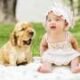 Discover finds we mutter more when talking to babies and pups