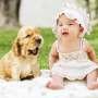 Discover finds we mutter more when talking to babies and pups