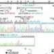 Xeroderma pigmentosum see assessments man made antisense oligonucleotides as therapeutic