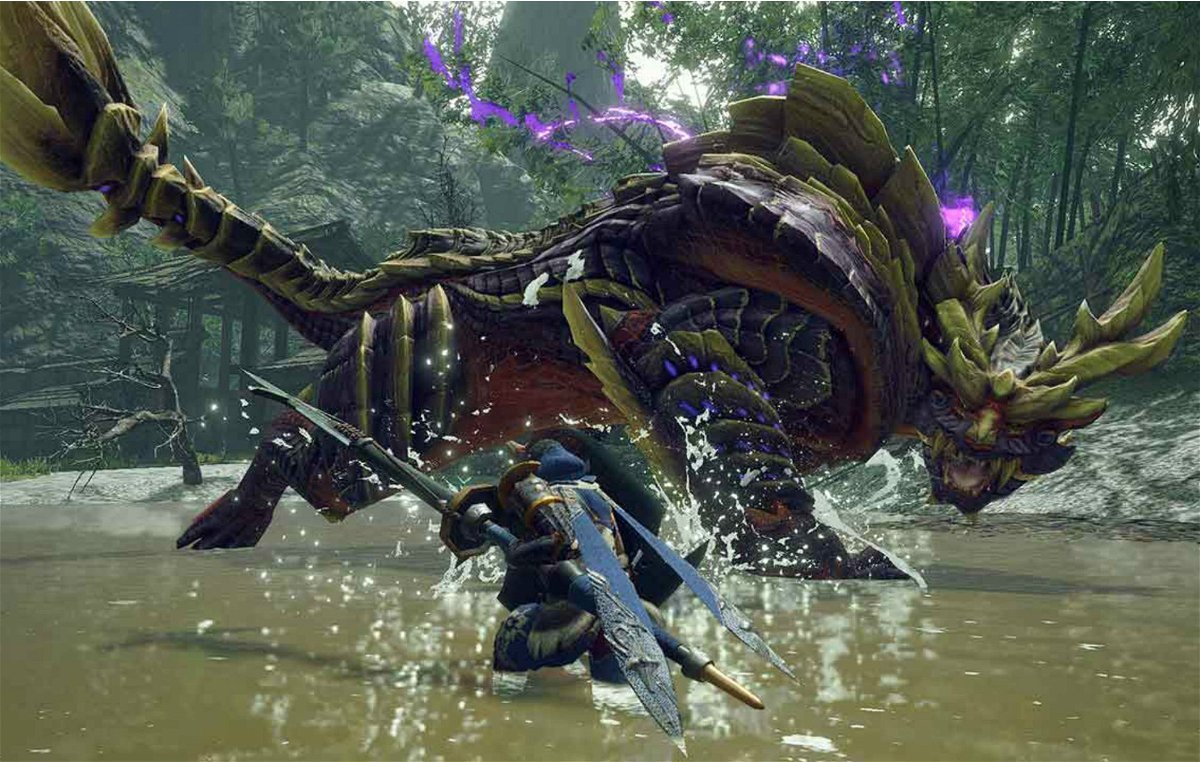 Capcom Needs To Stretch Monster Hunter Assortment To a “Wider Viewers” With Tall Plans