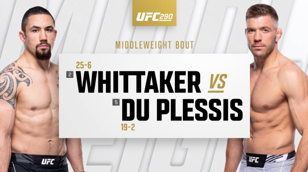 UFC 290: Robert Whittaker vs Driscus Du Plessis Highlights