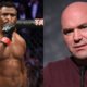 Francis Ngannou joyful to level to Dana White unsuitable with Tyson Fury fight: “They don’t desire me to be triumphant”