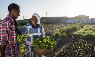 Bayer makes 160 million U.S. dollar dedication to Zero Starvation Pledge