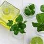 Peppermint oil aromatherapy may maybe perhaps perhaps also just ease distress severity after coronary heart surgical operation