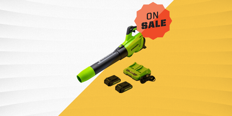 This Greenworks Leaf Blower Is Down to Its Lowest Brand Ever on Amazon