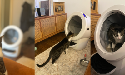 Is the Litter-Robot 4 worth $650?