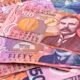 NZD/USD loses ground following Chinese language and American financial assignment data