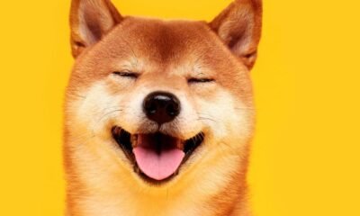 Shiba Inu’s Ethereum Layer-2 Blockchain Shibarium Goes Reside Amid Push for DeFi Enhance