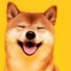 Shiba Inu’s Ethereum Layer-2 Blockchain Shibarium Goes Reside Amid Push for DeFi Enhance