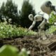 Agricultural Robotics: Ushering in the Era of Robotic Farming and Technological Transformation